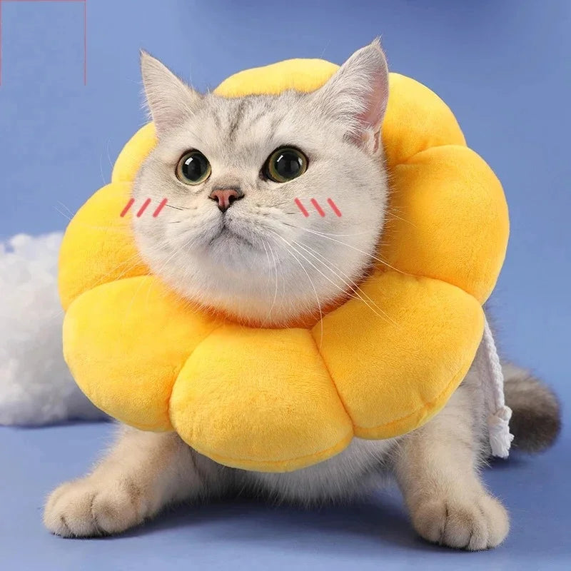 Sunflower Pet Collar