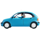 Travel & Car Accessories