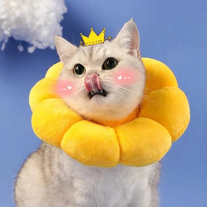 Sunflower Pet Collar