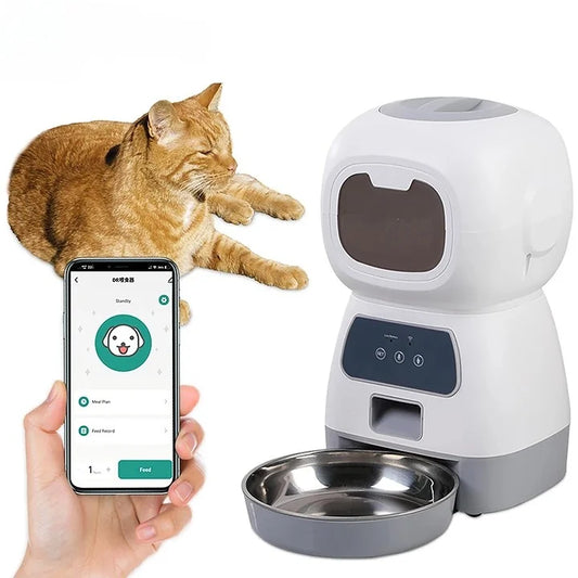 Automatic Pet Feeder For Cats